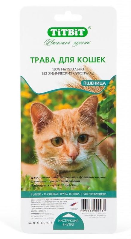 Трава для кошек (пшеница) 50 гр
