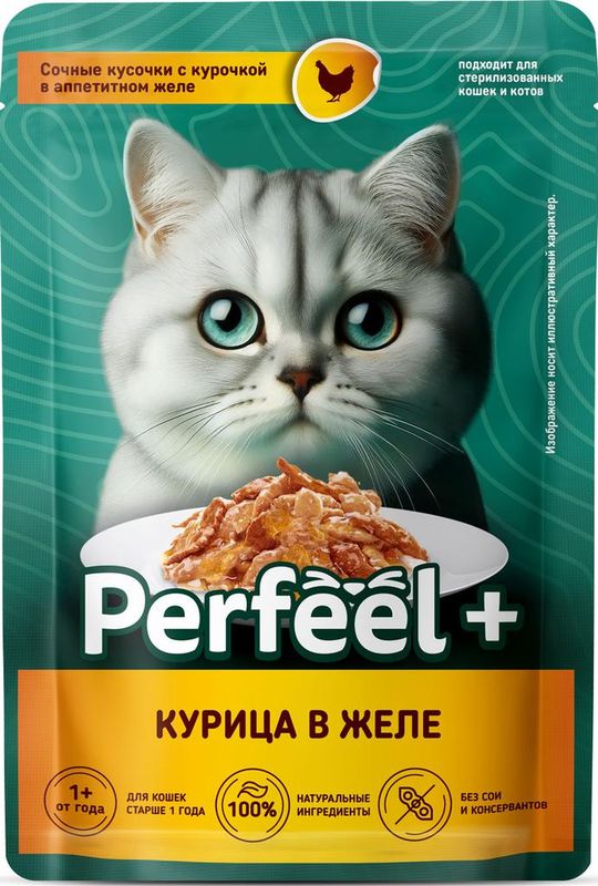 Корм консервированный для взрослых кошек с курицей в желе 75 гр