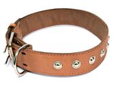 Ошейник кожаный двойной с украшениями, кольцо перед пряжкой 35 мм, обхват 50-59 см