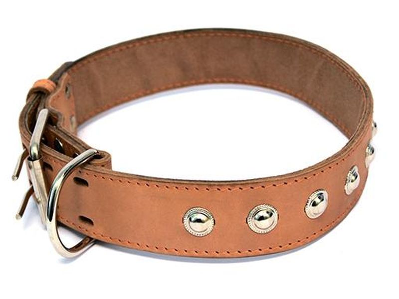 Ошейник кожаный двойной с украшениями, кольцо перед пряжкой 35 мм, обхват 50-59 см