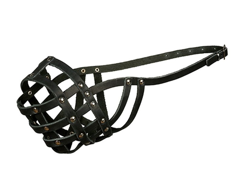 Намордник кожаный боксер